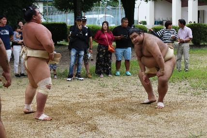 sumo2